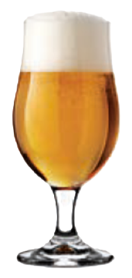 Copa cerveza Munique 26cl 6uds