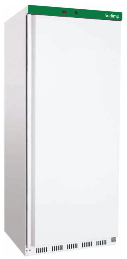 Armario congelacion blanco 1 Puerta 600 L Nac.